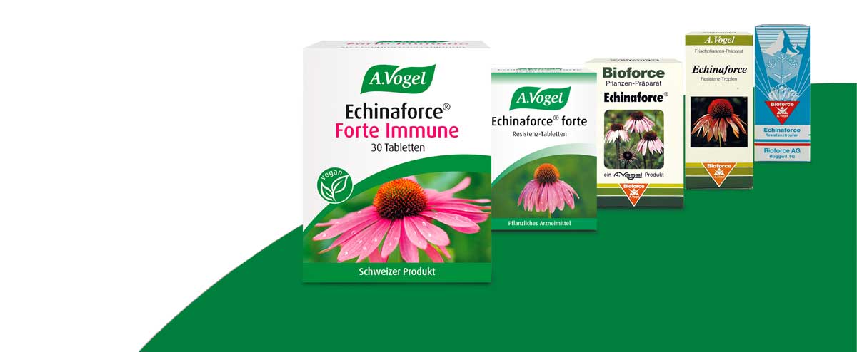 Packshots Echinaforce Forte im Laufe der Jahre
