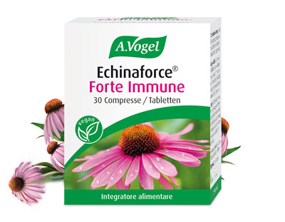 Echinaforce Forte Immune mit Echinacea Blüten