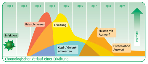 Grafik Erkältungsverlauf