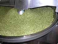 Verarbeitung: Humulus lupulus - Hopfen